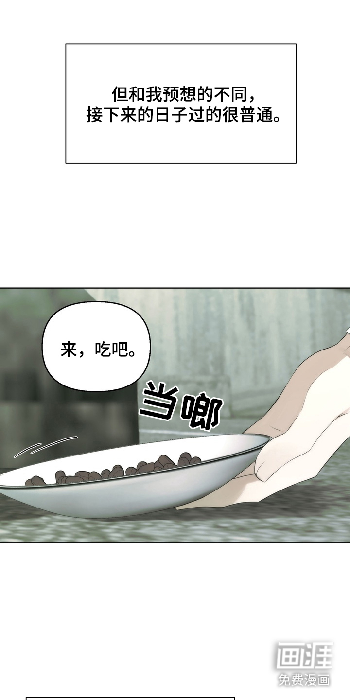 不良少年饲养手册漫画-图15