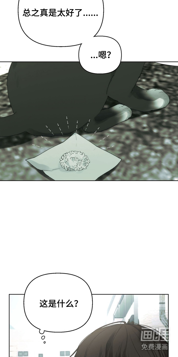 不良少年饲养手册第3话图