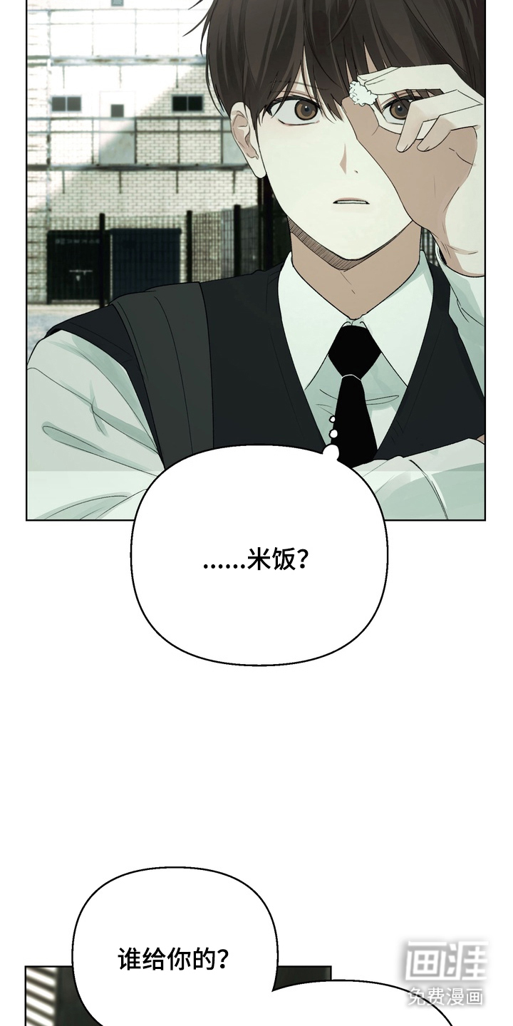 不良少年饲养手册第3话图