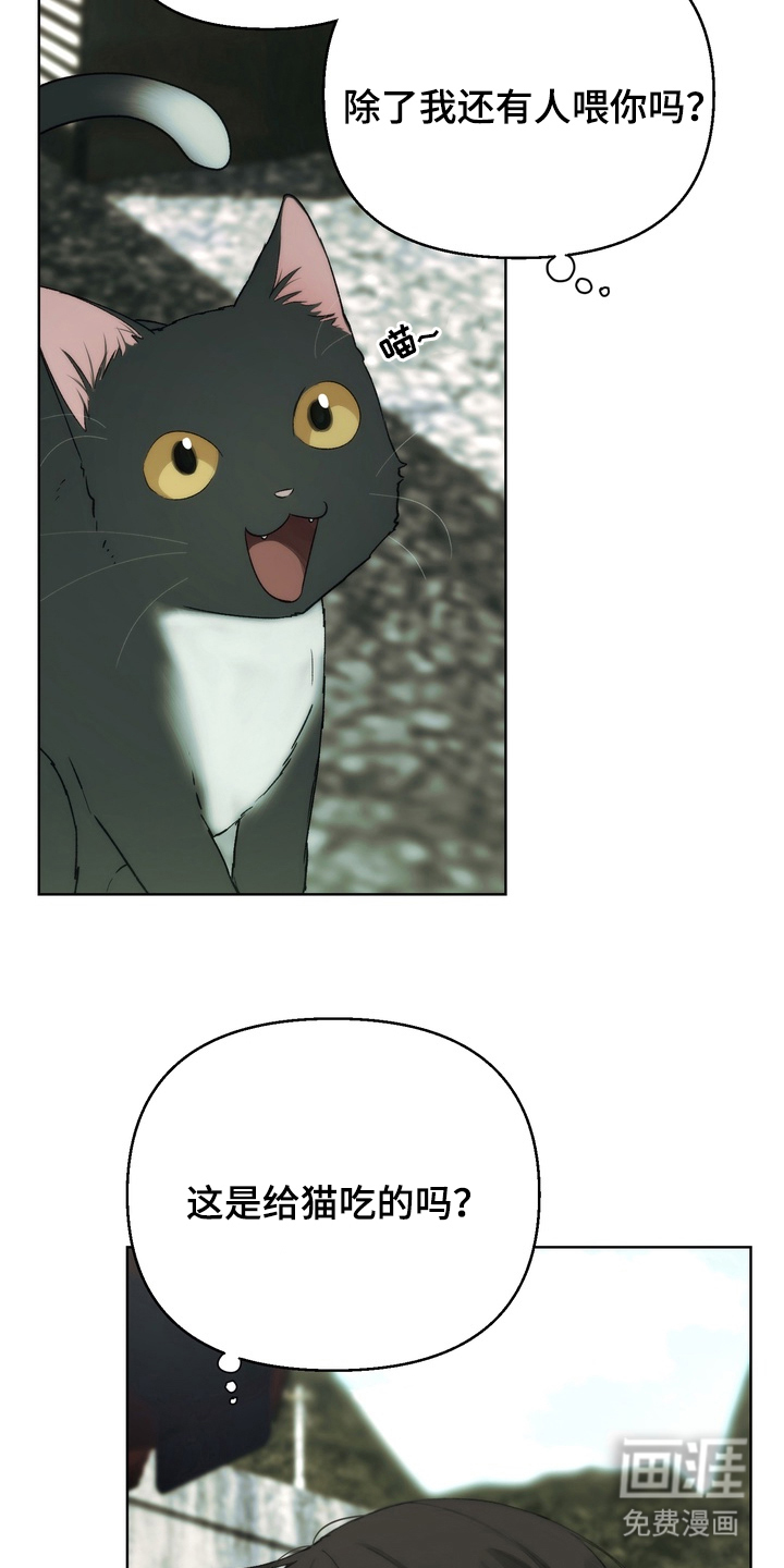 不良少年饲养手册第3话图