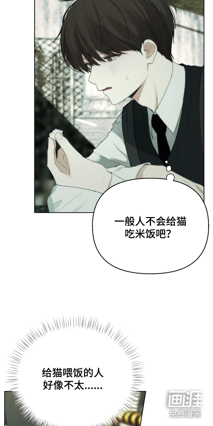 不良少年饲养手册第3话图