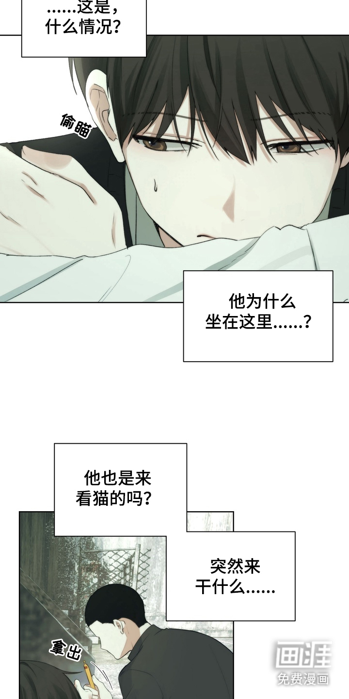 不良少年饲养手册漫画-图5