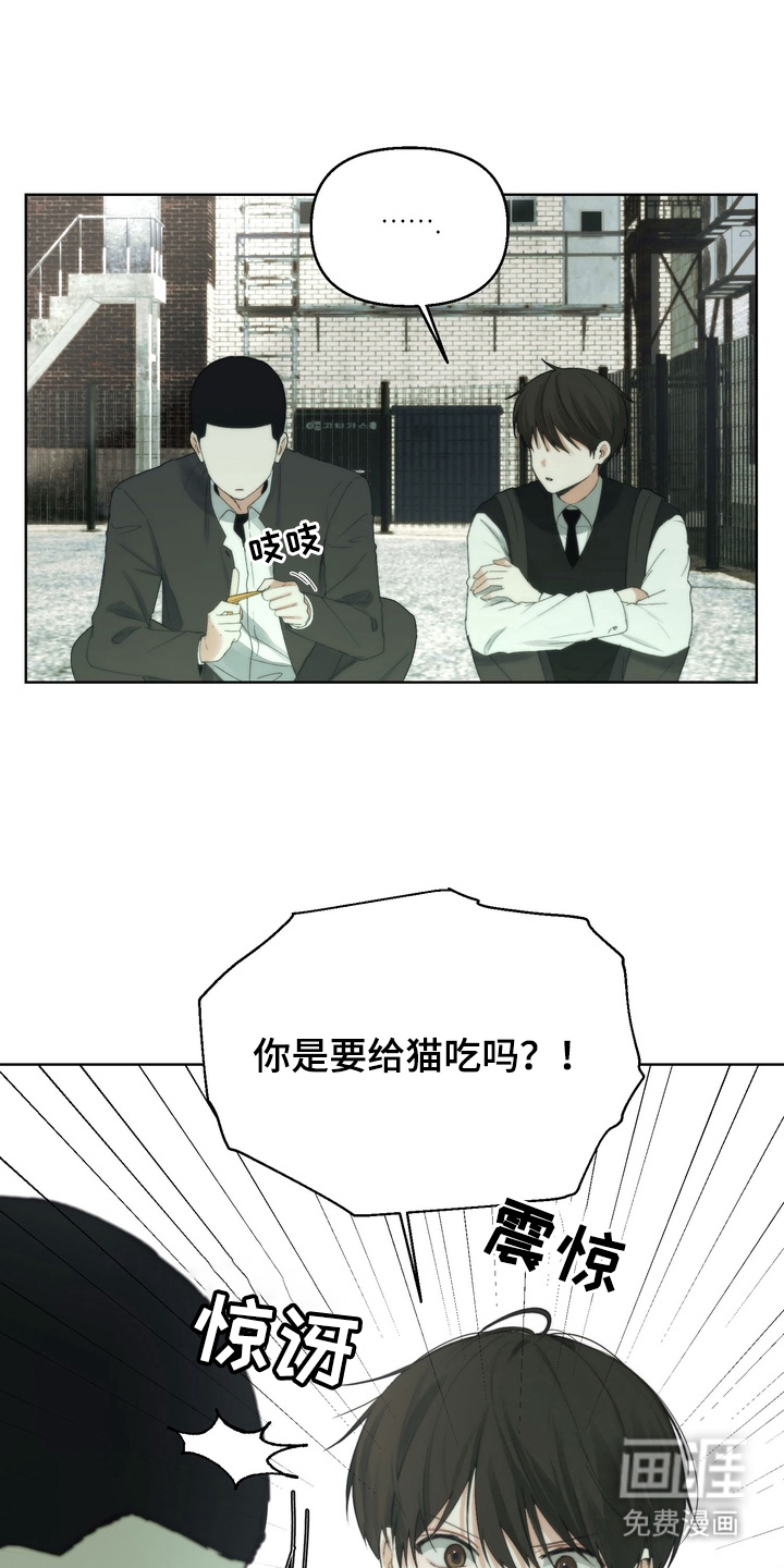 不良少年饲养手册漫画-图7