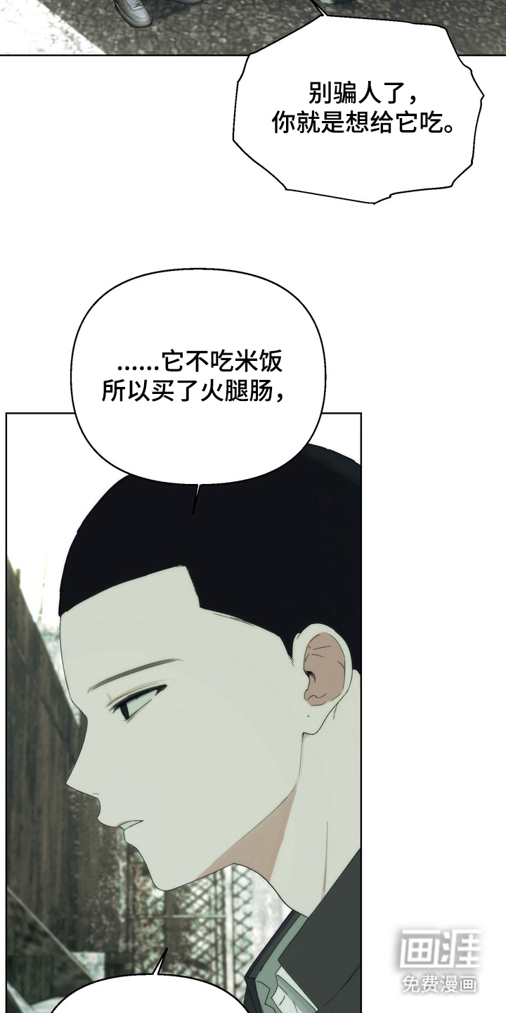 不良少年饲养手册漫画-图10