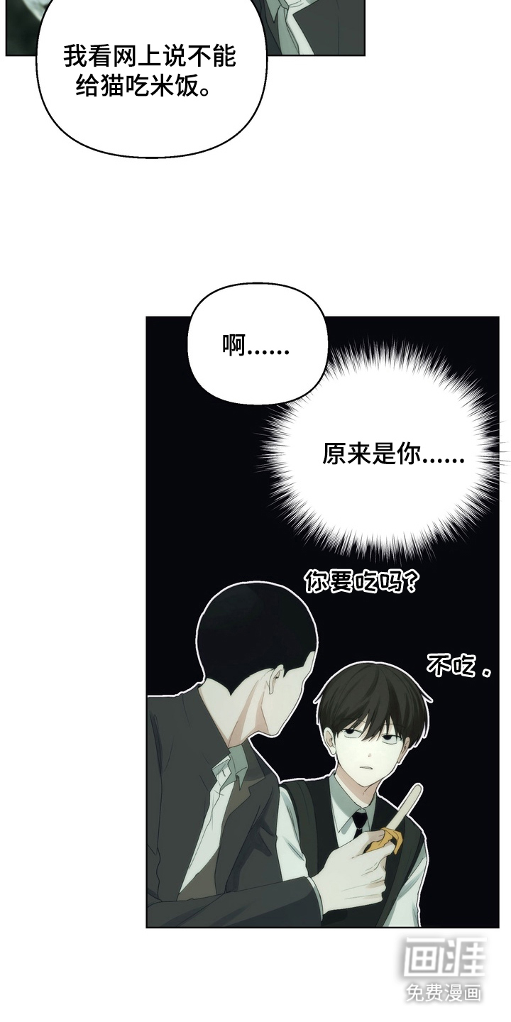 不良少年饲养手册漫画-图11