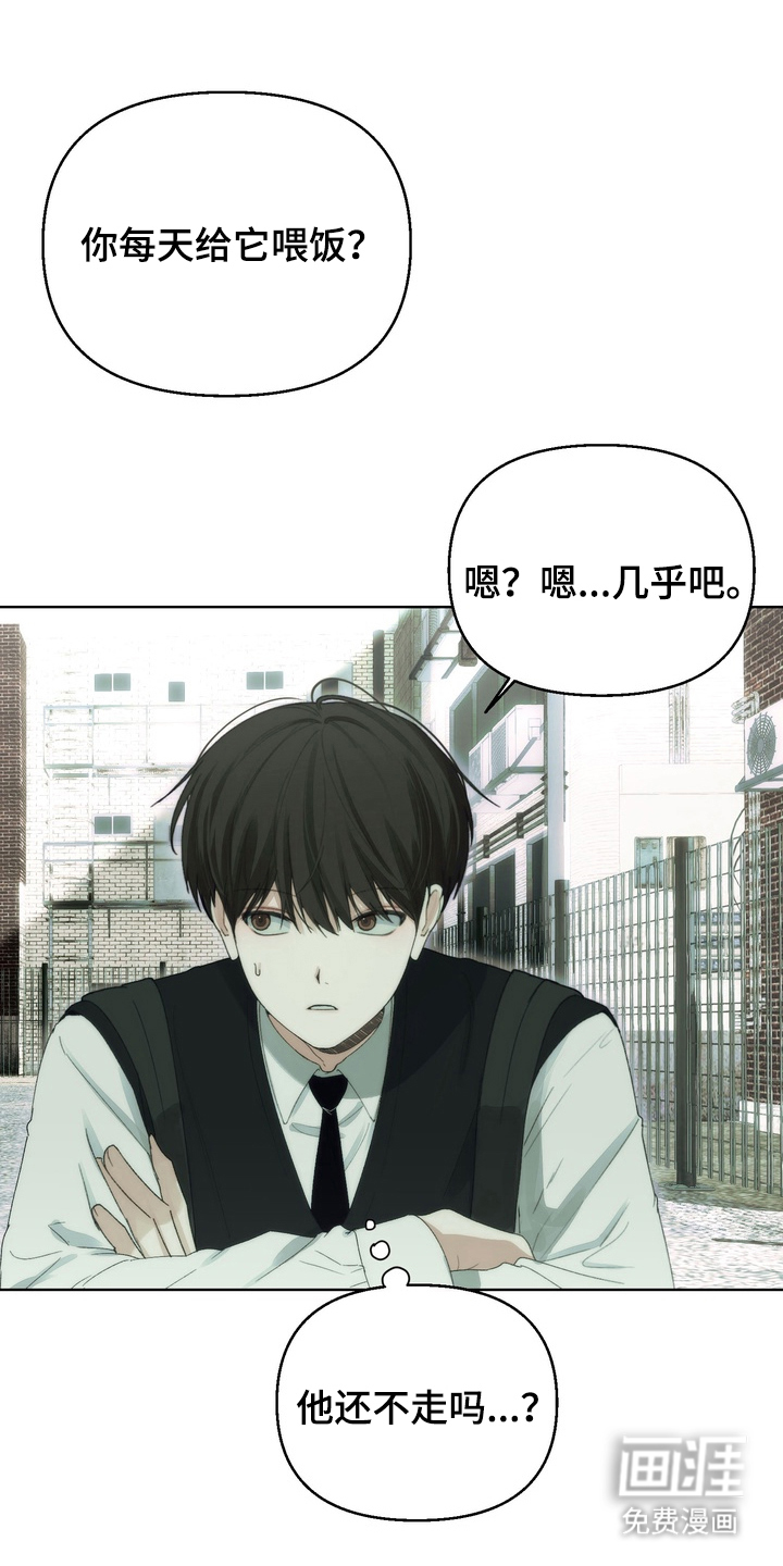 不良少年饲养手册漫画-图12