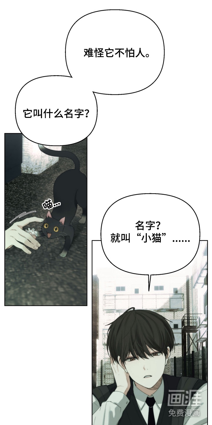 不良少年饲养手册漫画-图13