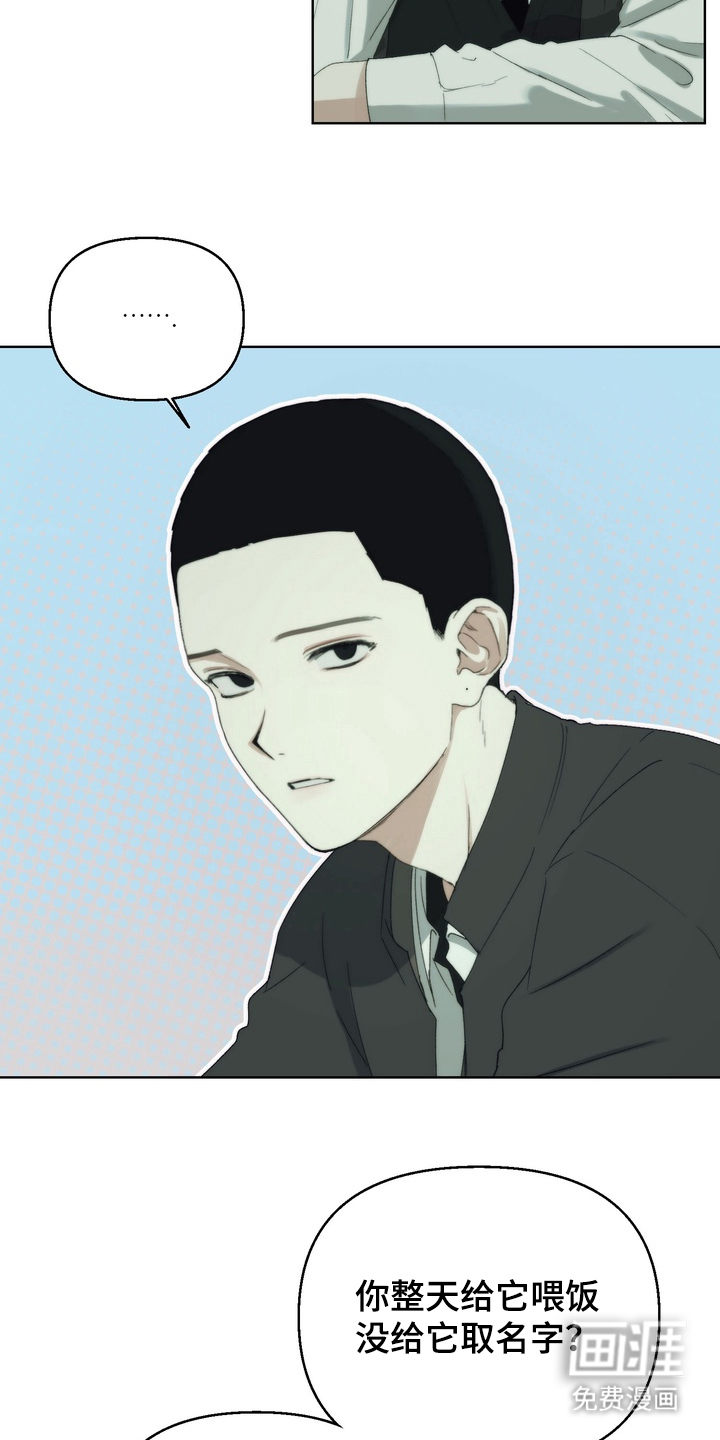 不良少年饲养手册漫画-图14