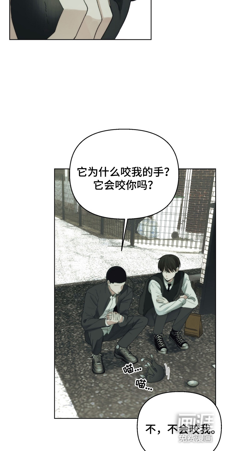 不良少年饲养手册漫画-图3