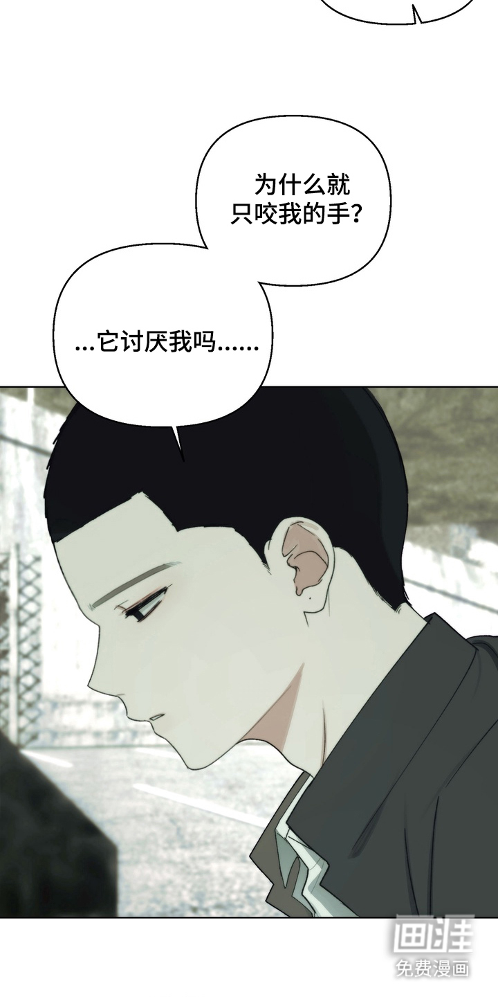 不良少年饲养手册漫画-图4