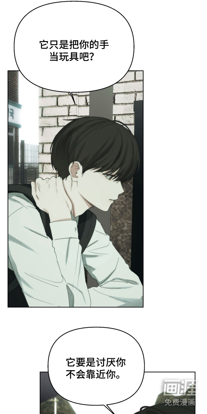 不良少年饲养手册漫画-图5