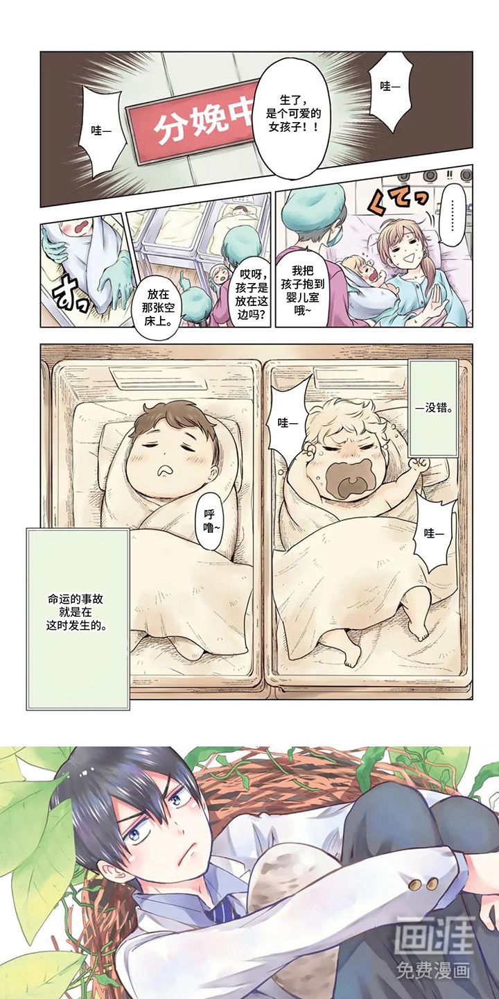 布谷鸟的错巢第1话图