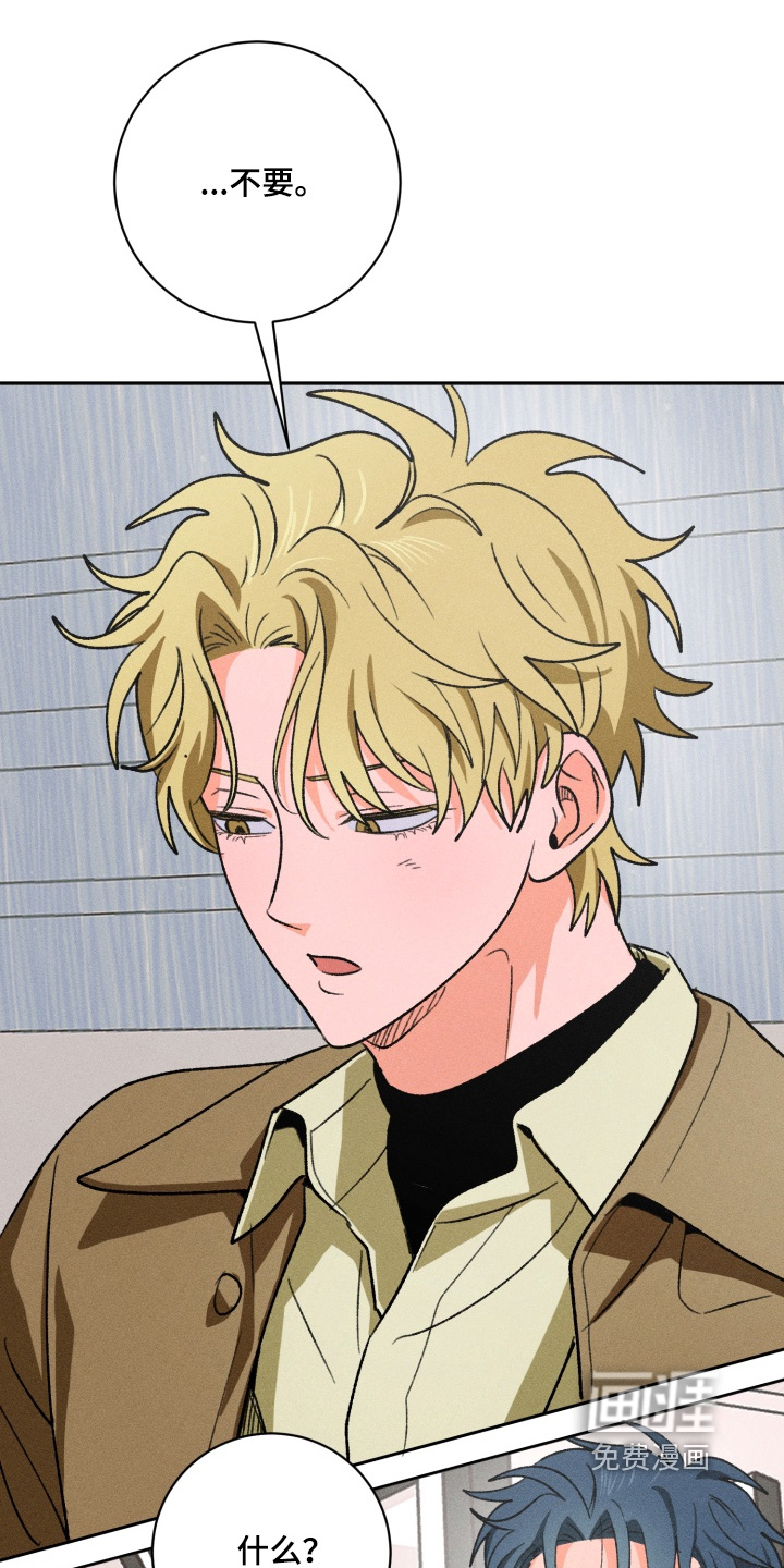 报复性依恋第14话图