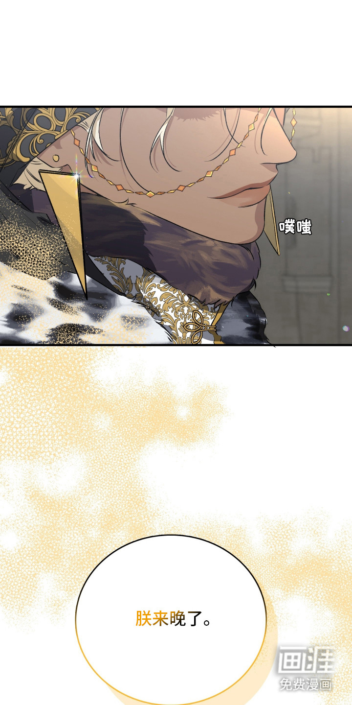 白夜的花路漫画-图15