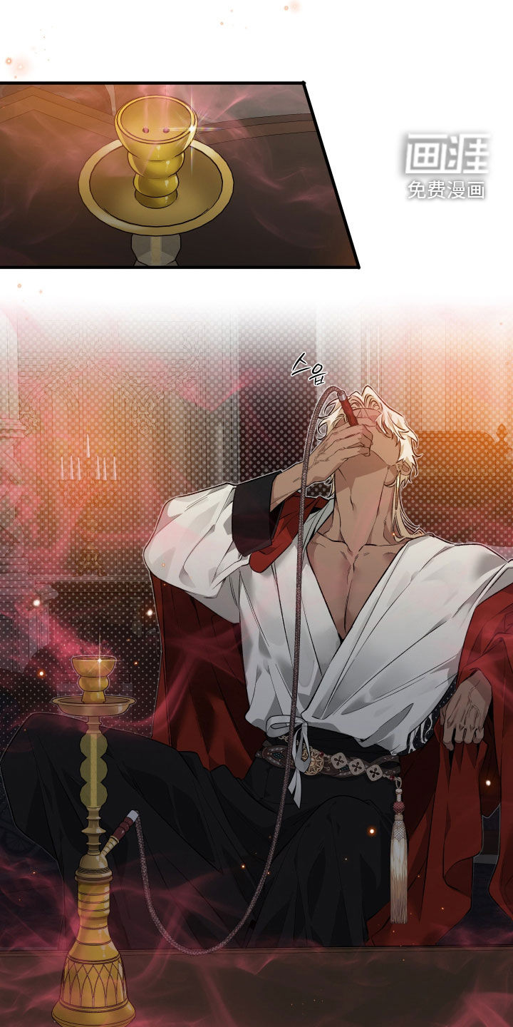 白夜的花路漫画-图12