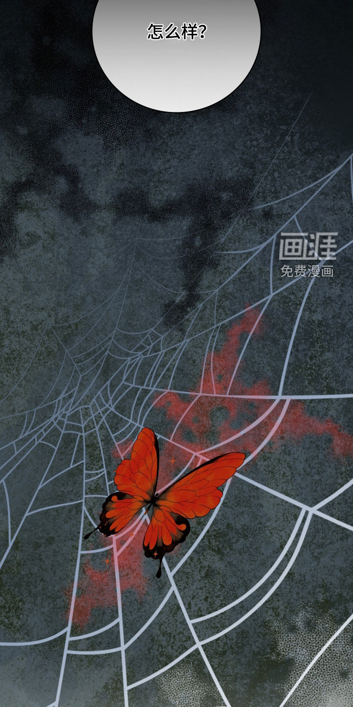 白夜的花路漫画-图38