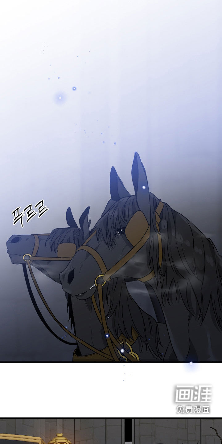 白夜的花路漫画-图20