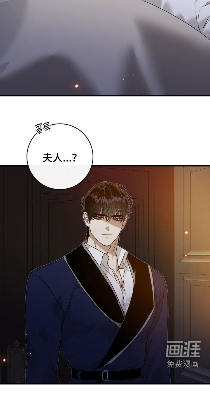 白夜的花路漫画-图32