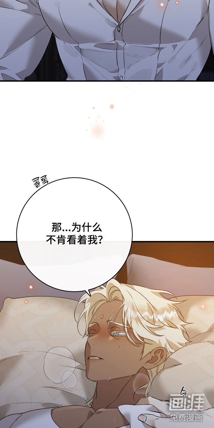 白夜的花路漫画-图7