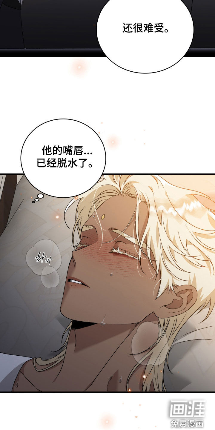 白夜的花路漫画-图14