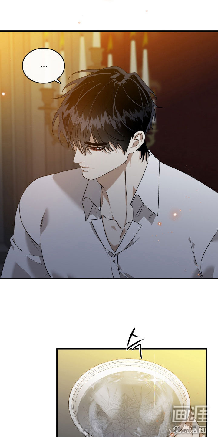 白夜的花路漫画-图15