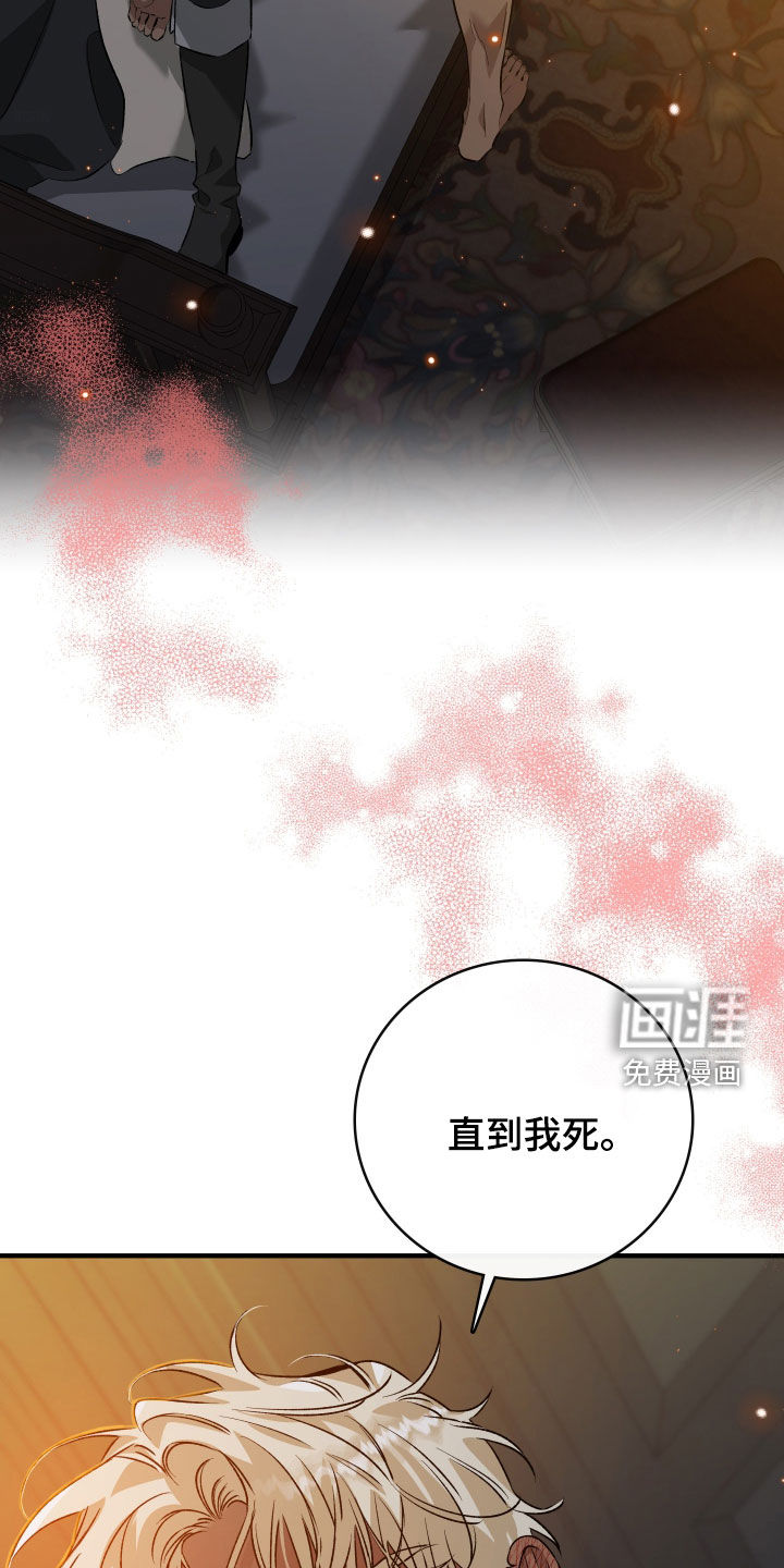 白夜的花路漫画-图26