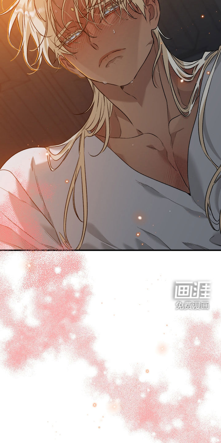 白夜的花路漫画-图27