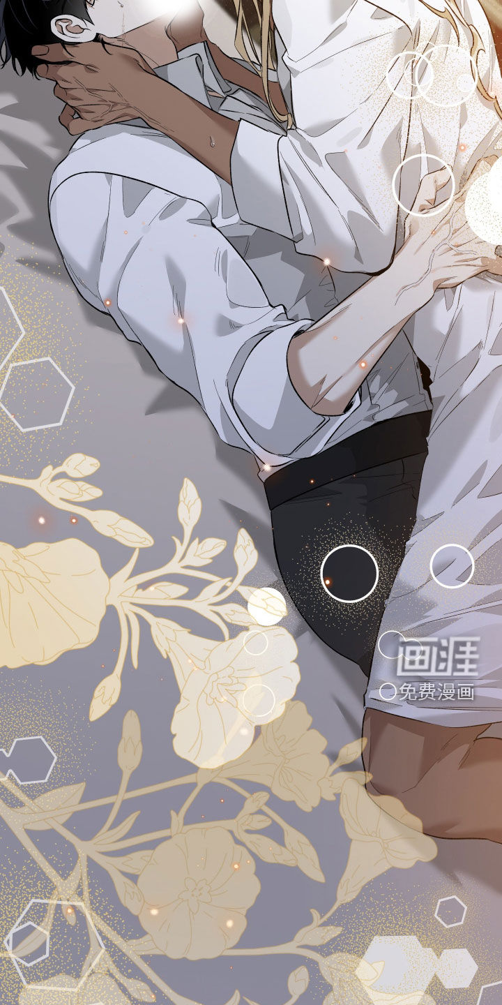 白夜的花路漫画-图29