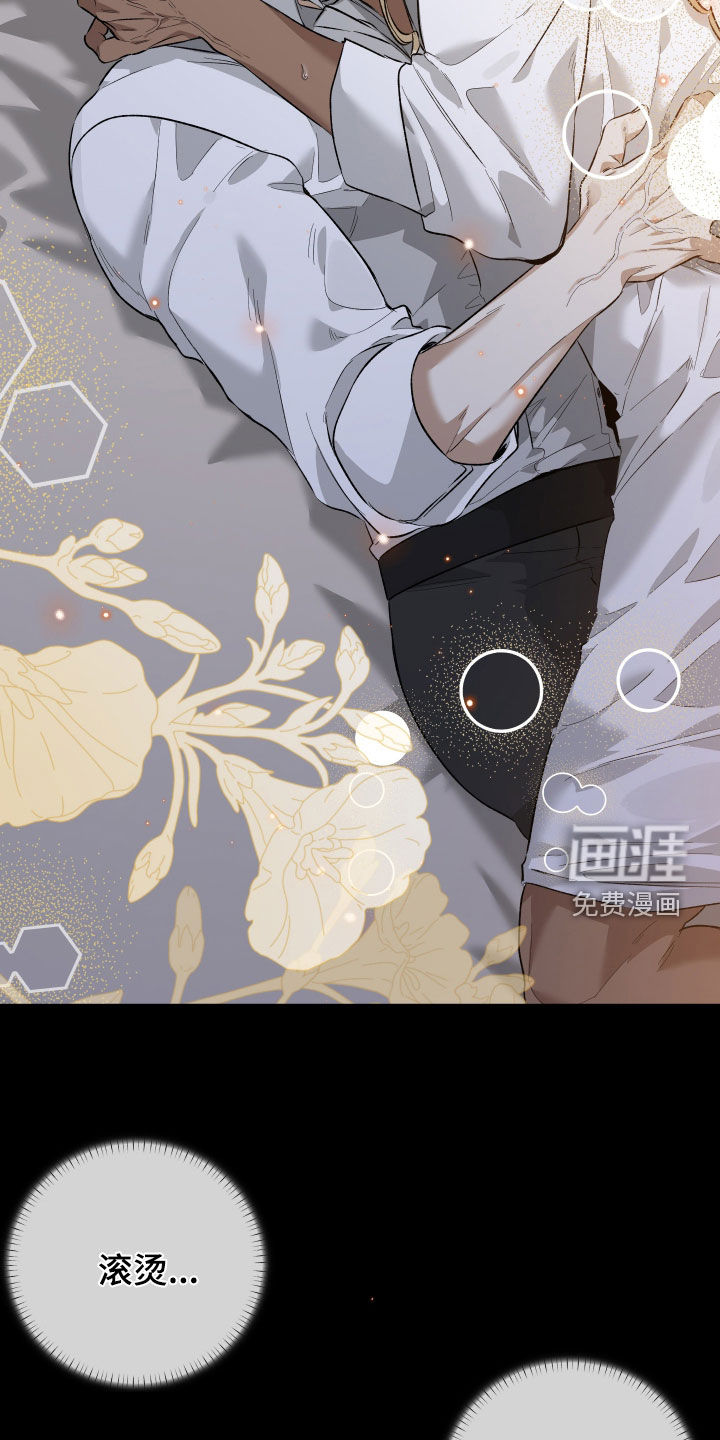 白夜的花路漫画-图5