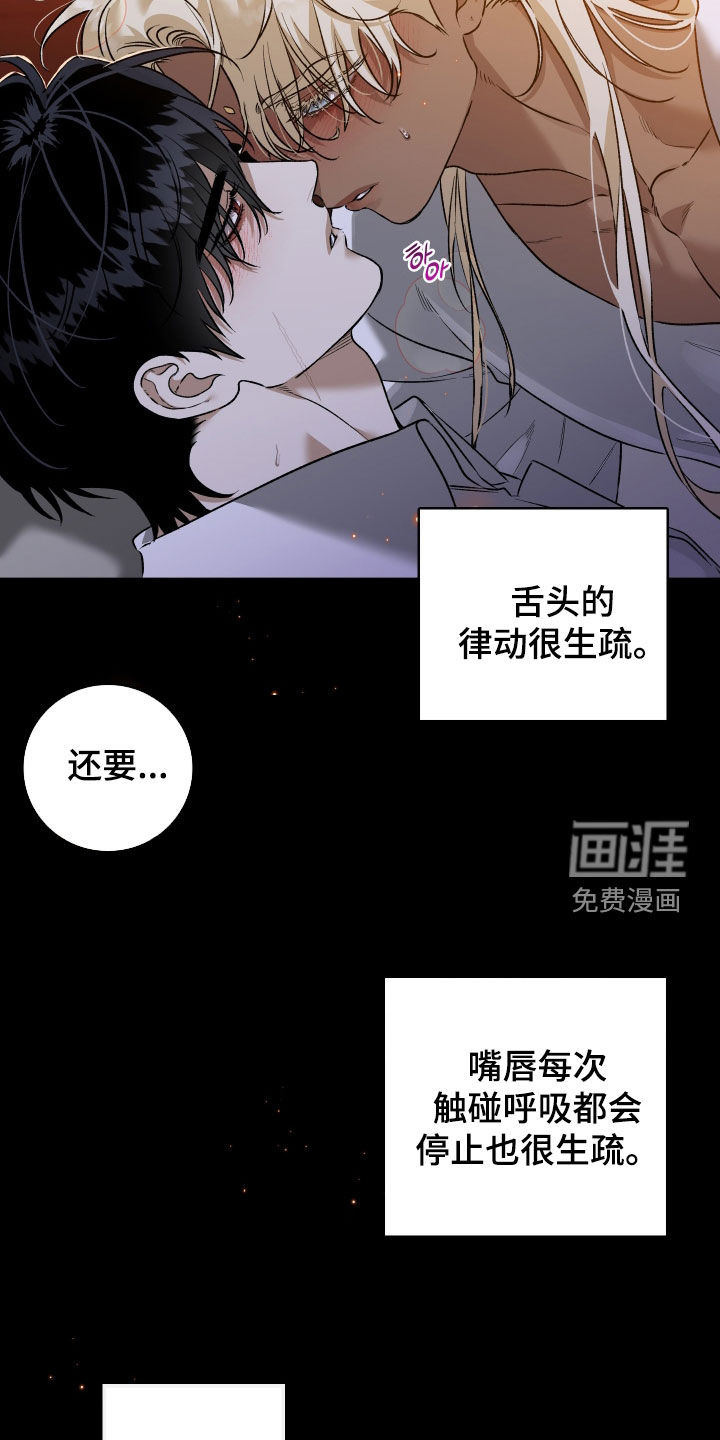 白夜的花路漫画-图12