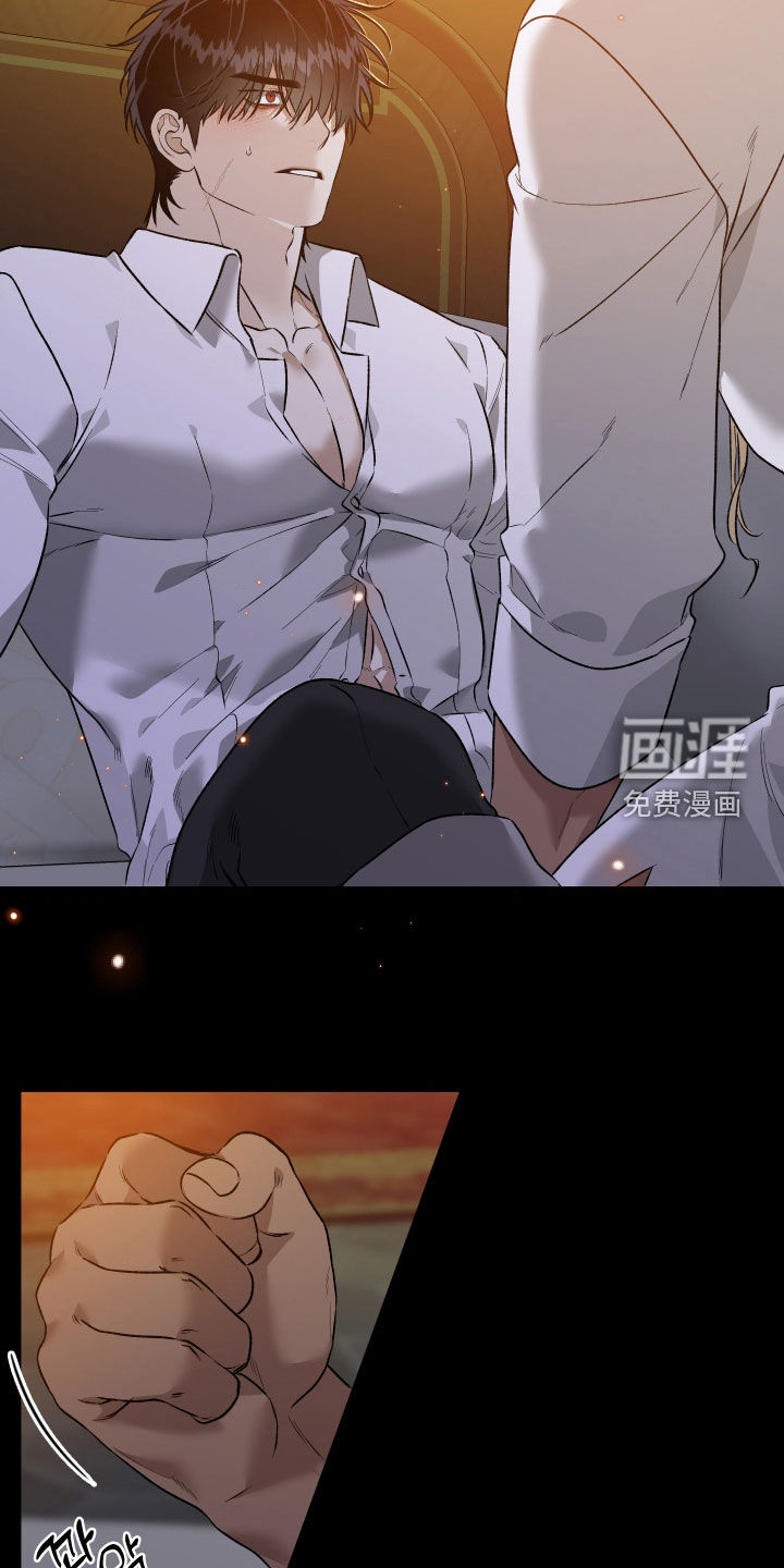 白夜的花路漫画-图17