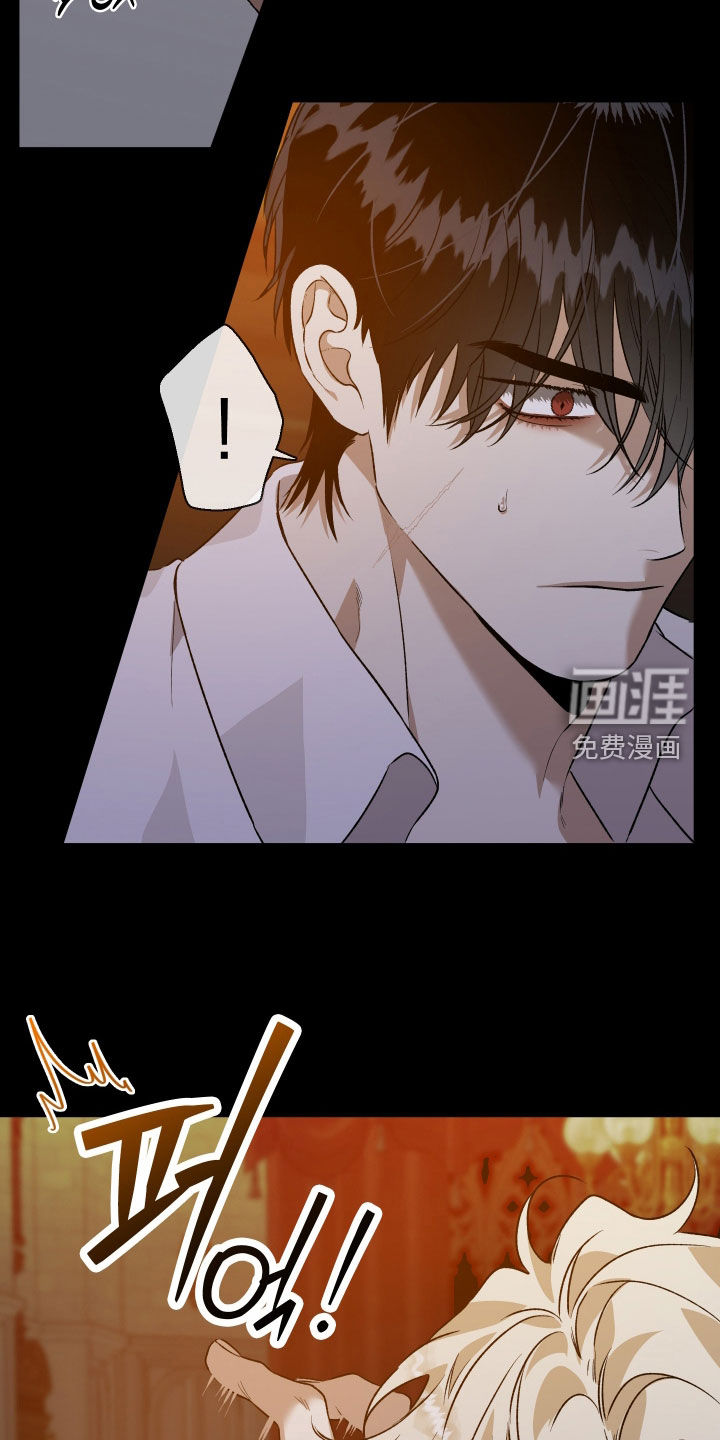 白夜的花路漫画-图18