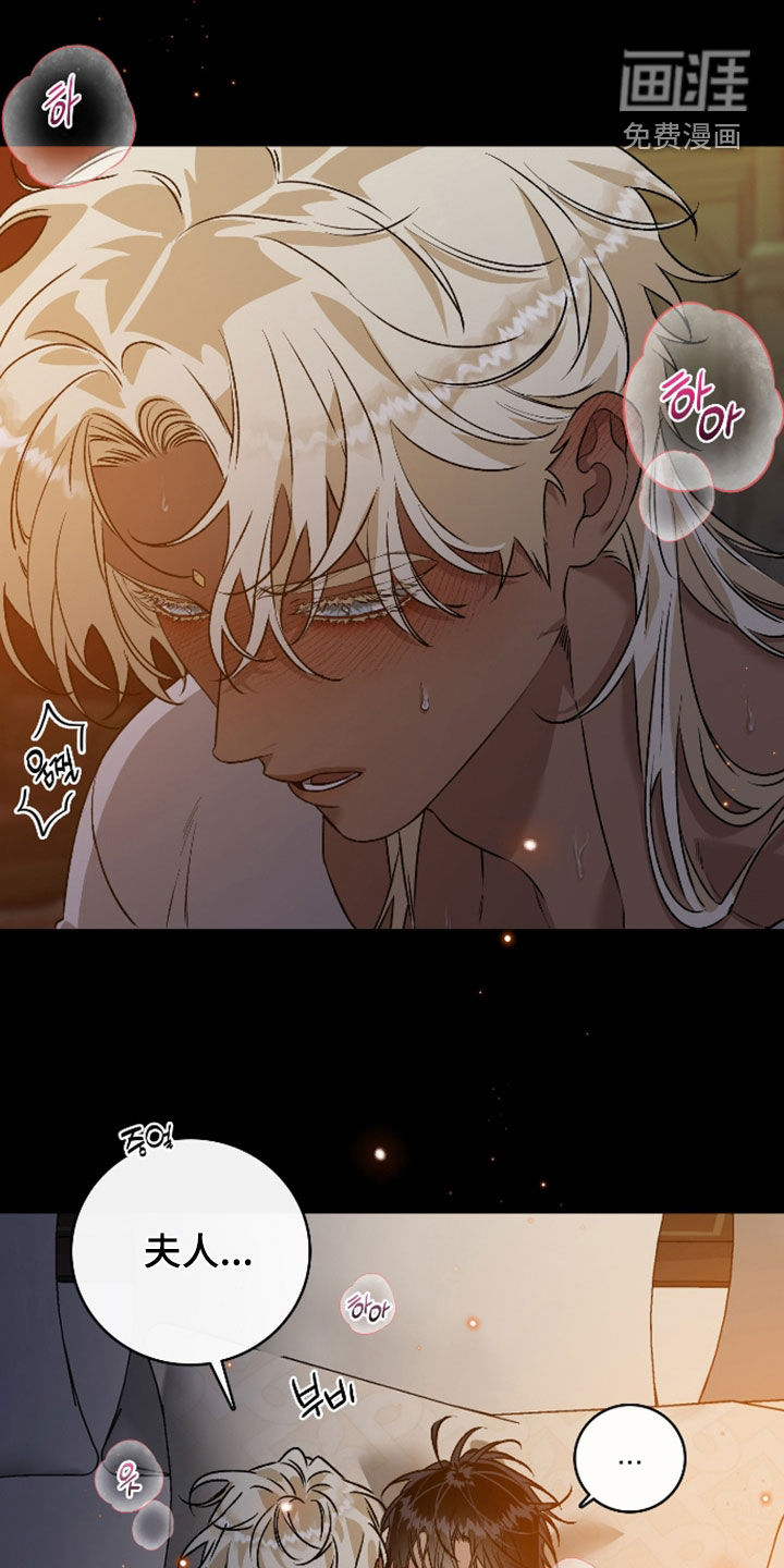 白夜的花路漫画-图11