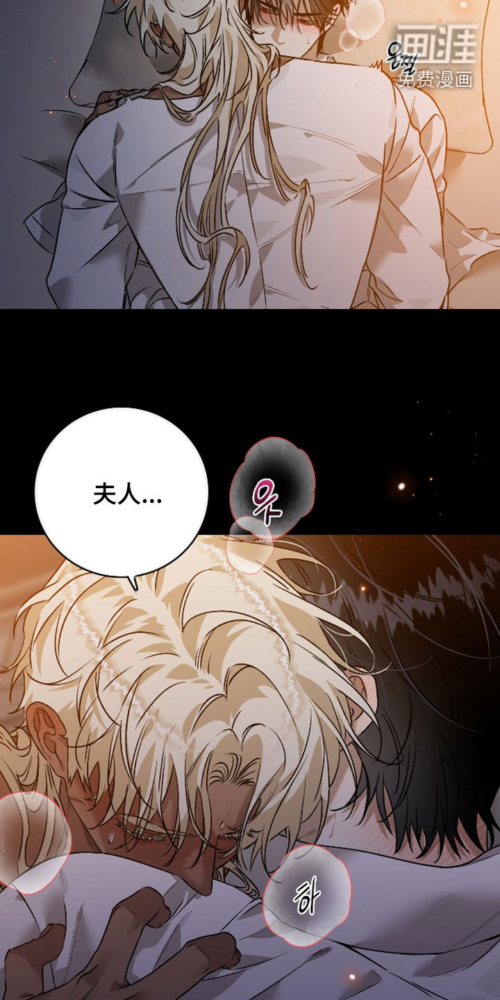 白夜的花路漫画-图12