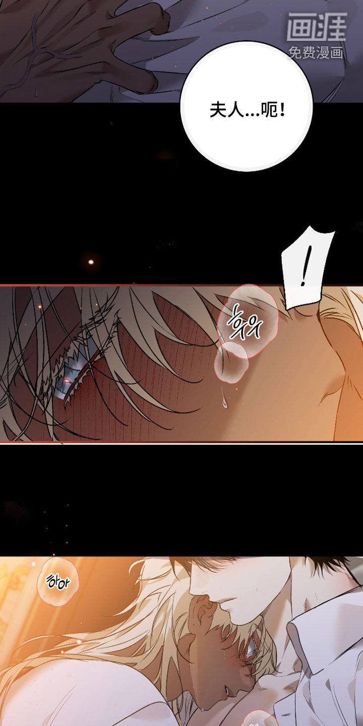 白夜的花路漫画-图13