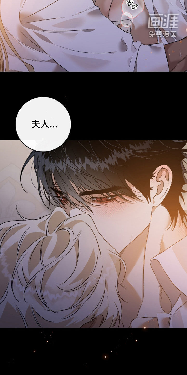 白夜的花路漫画-图14