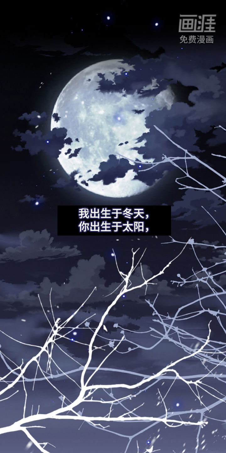 白夜的花路漫画-图20