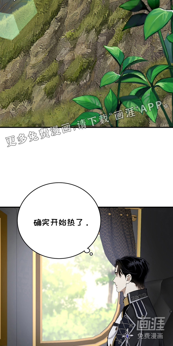 白夜的花路漫画-图13