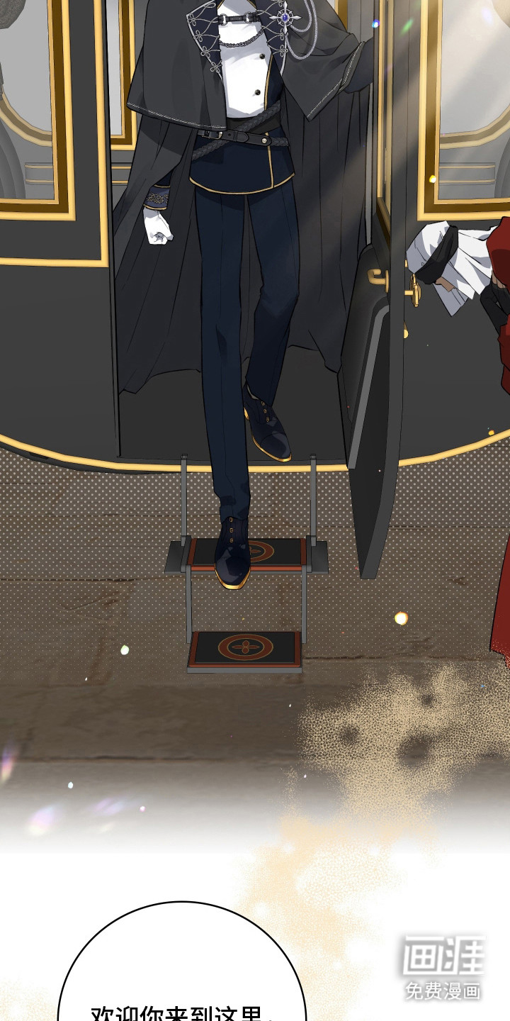 白夜的花路漫画-图18