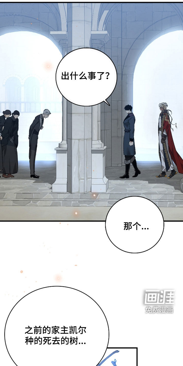 白夜的花路漫画-图15