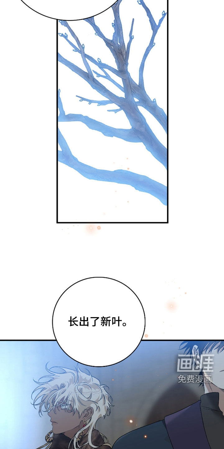 白夜的花路漫画-图16