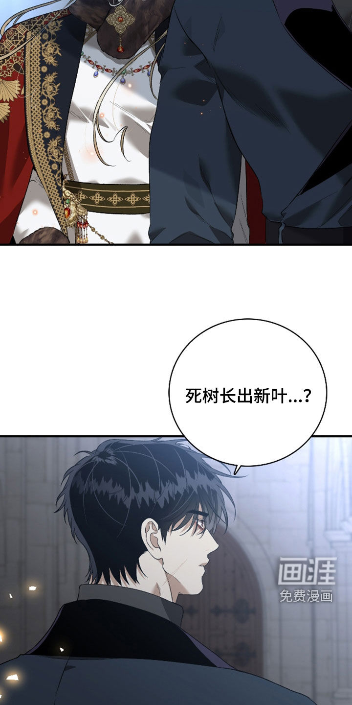 白夜的花路漫画-图17