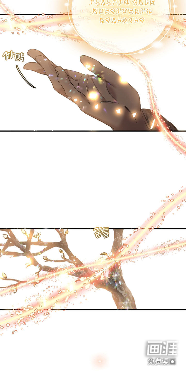 白夜的花路漫画-图20