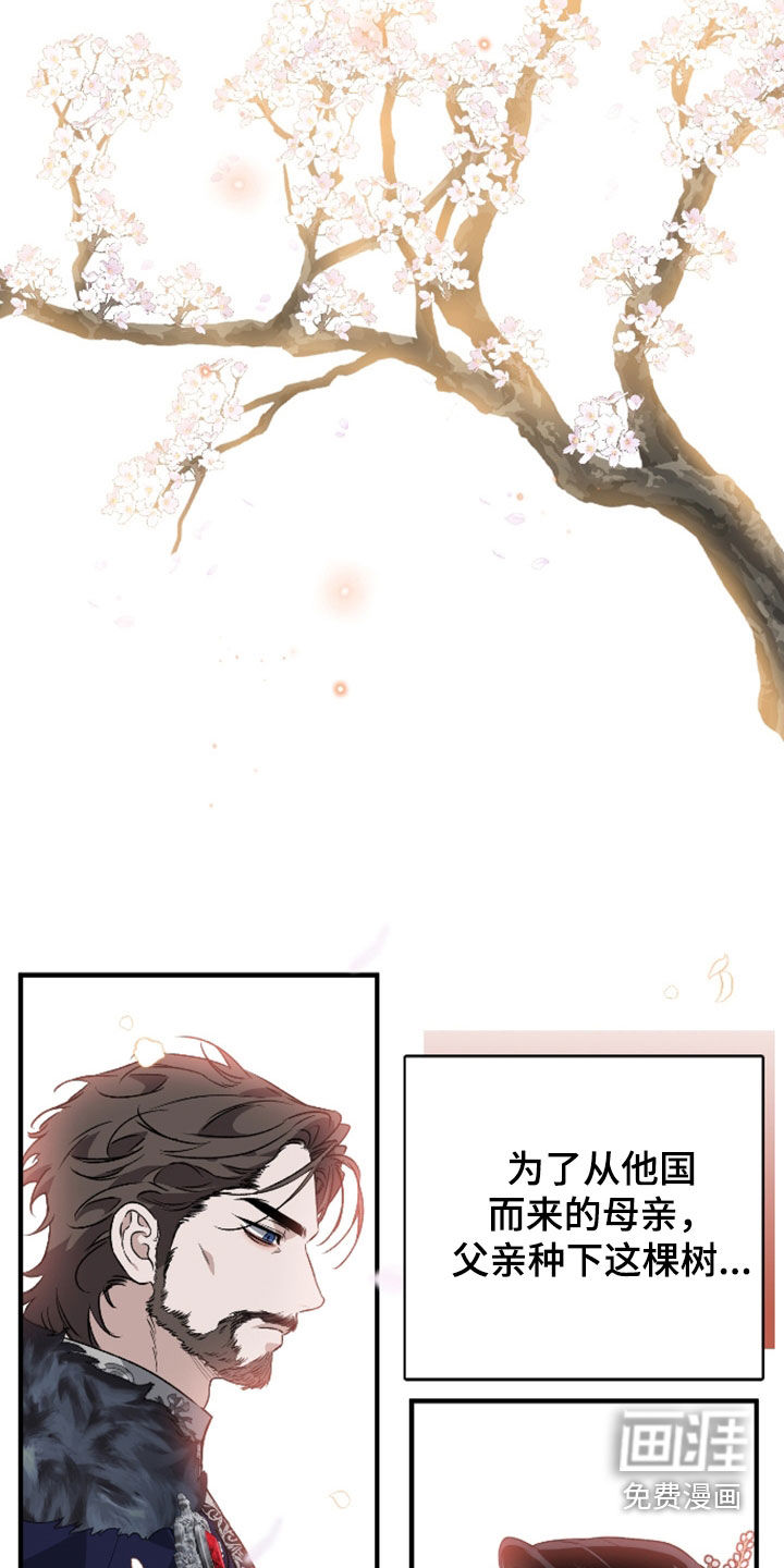 白夜的花路漫画-图7