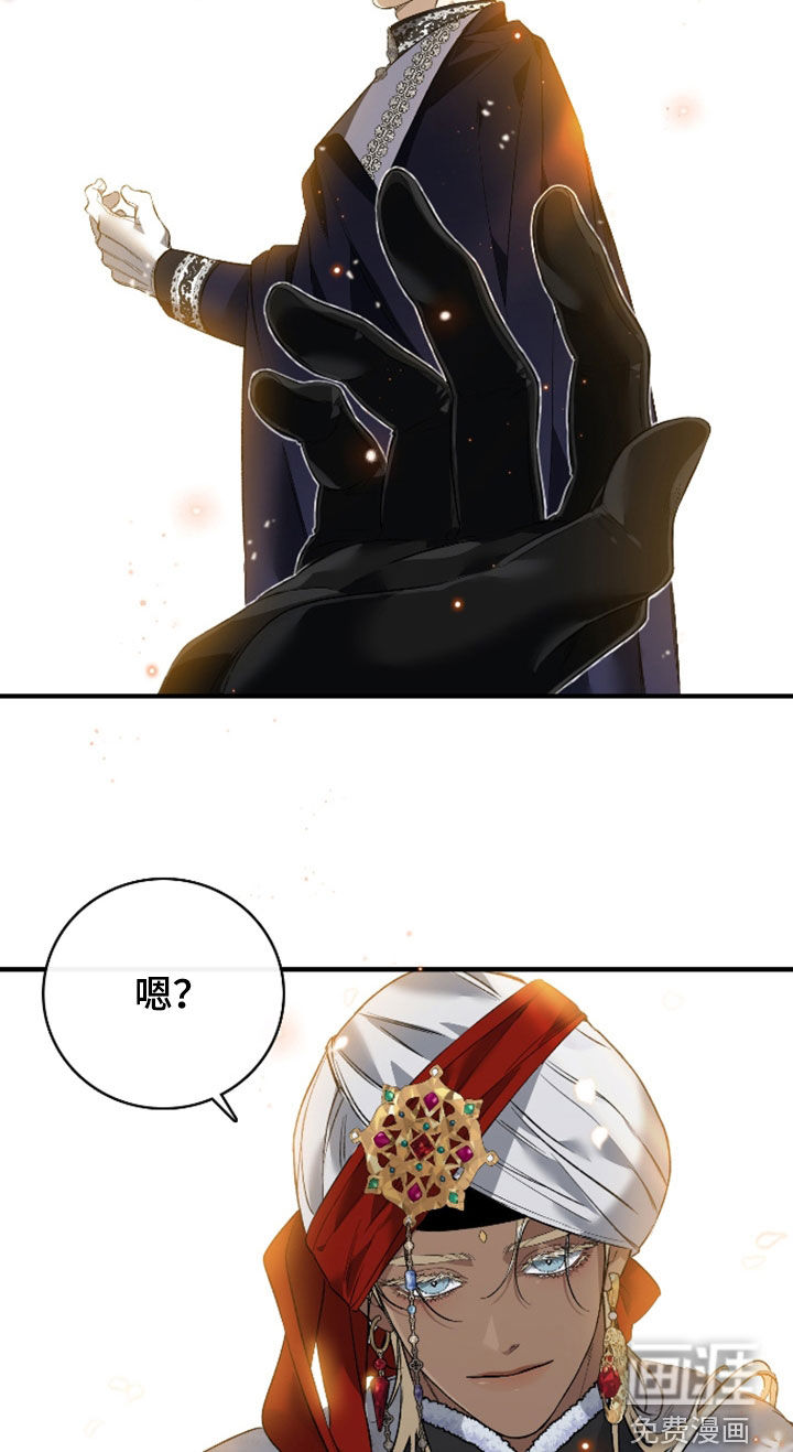 白夜的花路漫画-图16