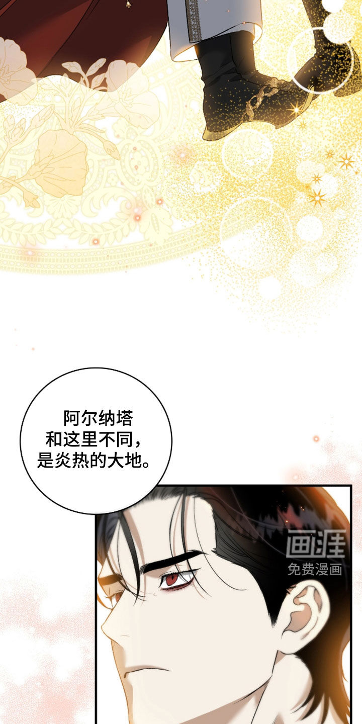 白夜的花路漫画-图22