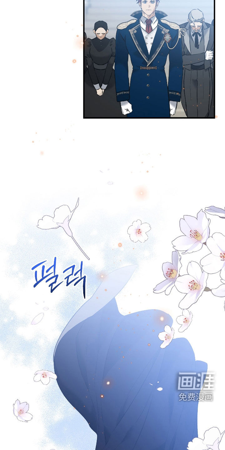 白夜的花路漫画-图5