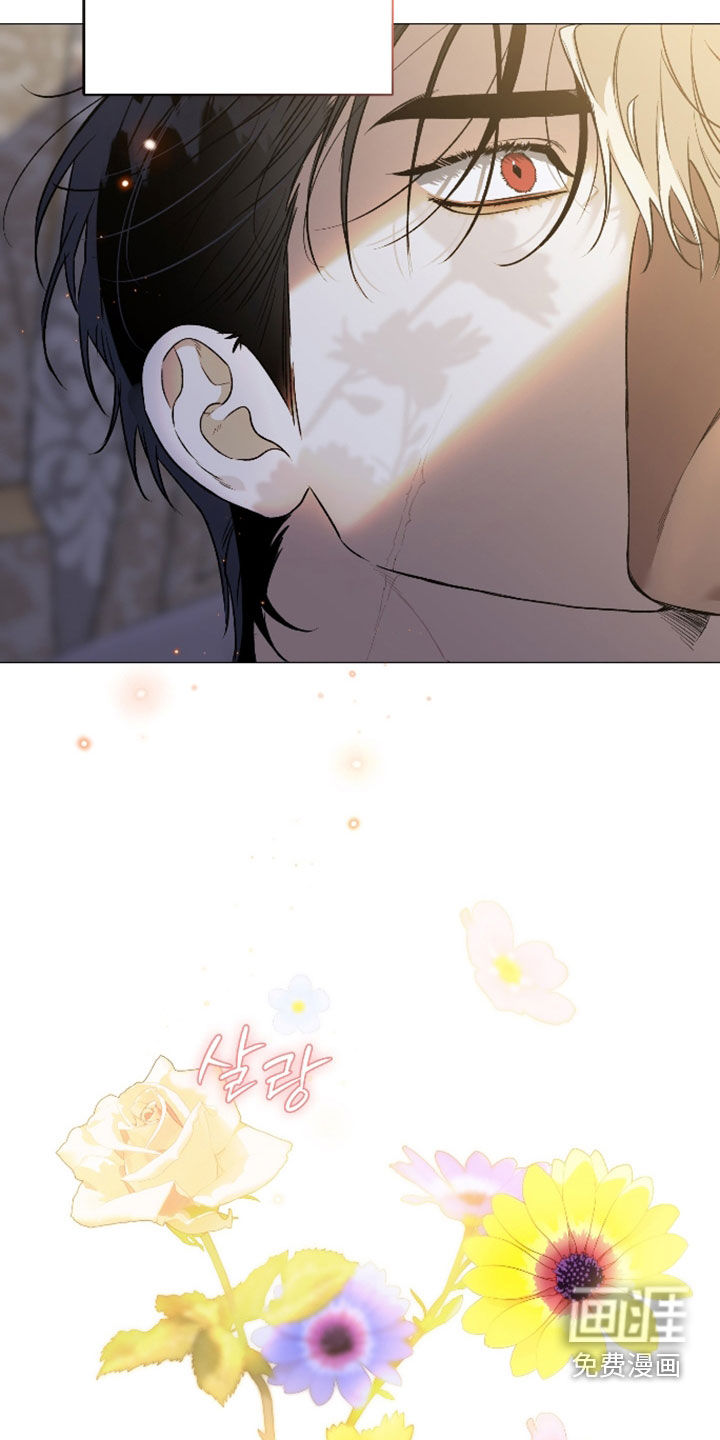 白夜的花路漫画-图34