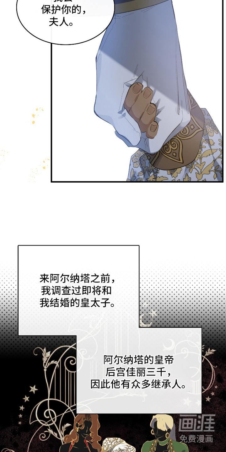 白夜的花路漫画-图6