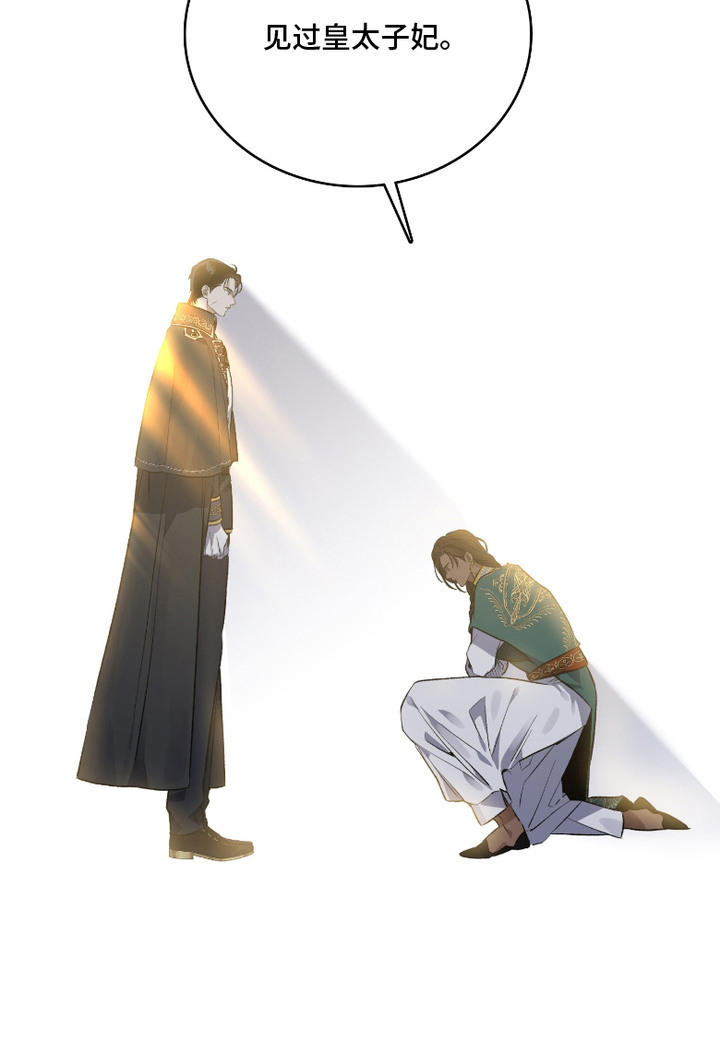 白夜的花路漫画-图26